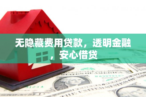 抚远无隐藏费用贷款，透明金融，安心借贷