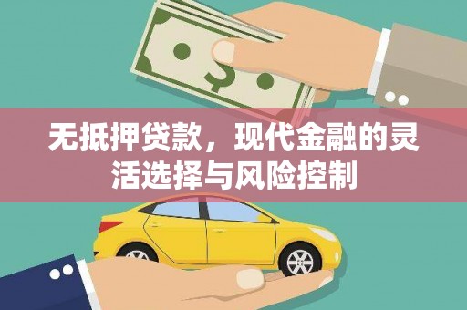 抚远无抵押贷款，现代金融的灵活选择与风险控制
