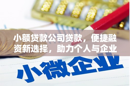 抚远小额贷款公司贷款，便捷融资新选择，助力个人与企业成长
