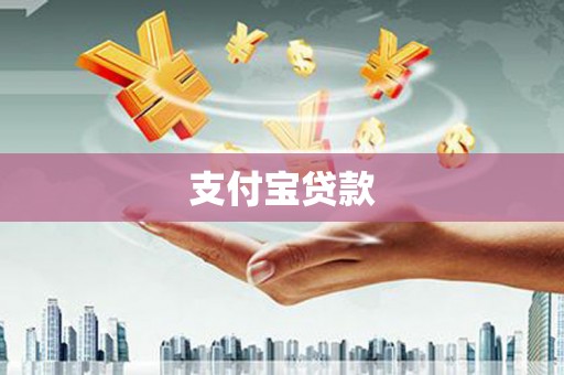 抚远支付宝贷款