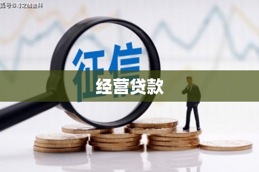 抚远经营贷款