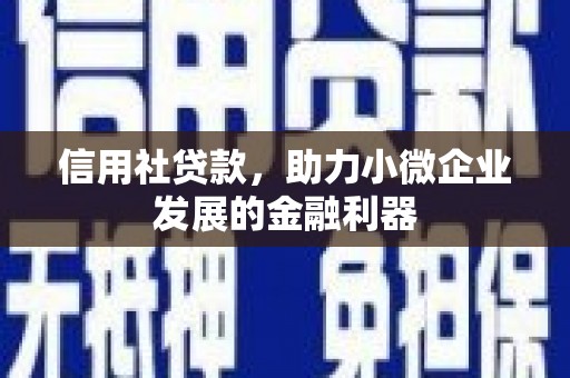 抚远信用社贷款，助力小微企业发展的金融利器