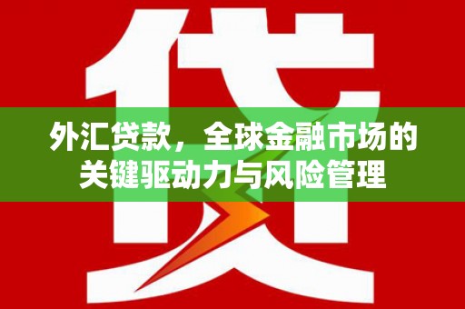 抚远外汇贷款，全球金融市场的关键驱动力与风险管理