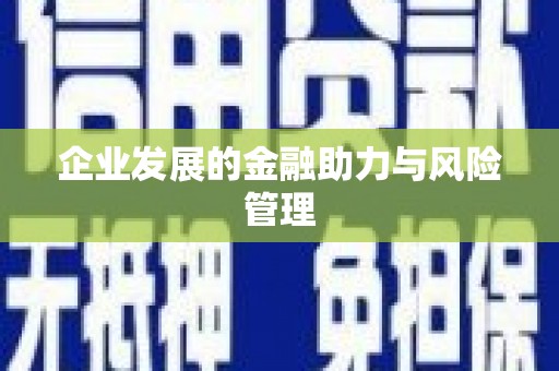 抚远企业发展的金融助力与风险管理