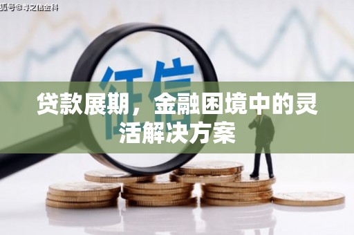抚远贷款展期，金融困境中的灵活解决方案