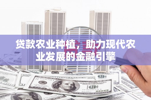 抚远贷款农业种植，助力现代农业发展的金融引擎