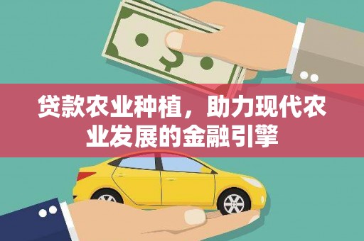 抚远贷款农业种植，助力现代农业发展的金融引擎
