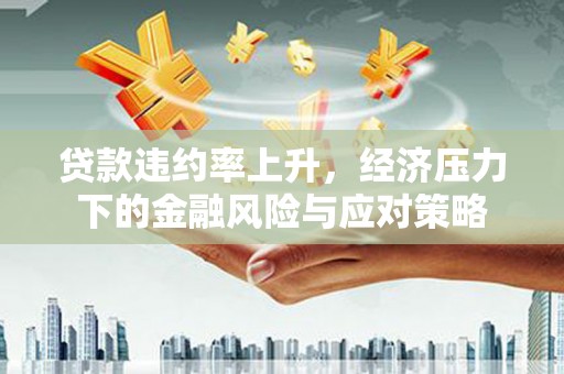 抚远贷款违约率上升，经济压力下的金融风险与应对策略