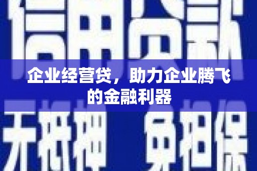 抚远企业经营贷，助力企业腾飞的金融利器