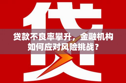抚远贷款不良率攀升，金融机构如何应对风险挑战？