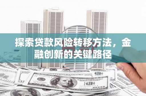 抚远探索贷款风险转移方法，金融创新的关键路径