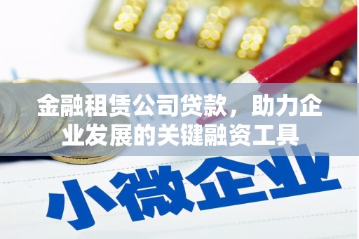 抚远金融租赁公司贷款，助力企业发展的关键融资工具