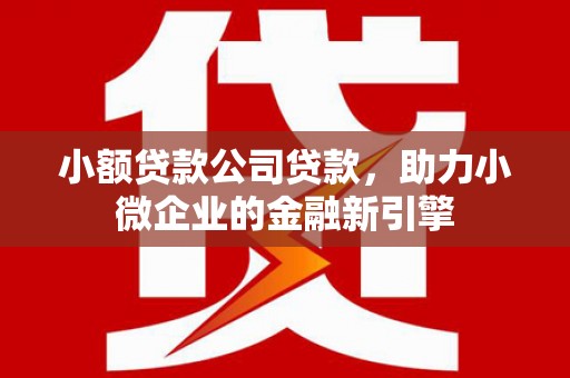 抚远小额贷款公司贷款，助力小微企业的金融新引擎
