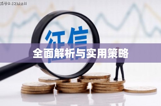 抚远全面解析与实用策略