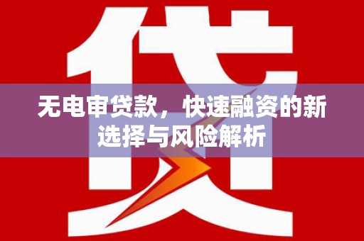 抚远无电审贷款，快速融资的新选择与风险解析