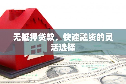 抚远无抵押贷款，快速融资的灵活选择