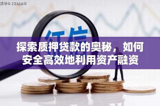抚远探索质押贷款的奥秘，如何安全高效地利用资产融资