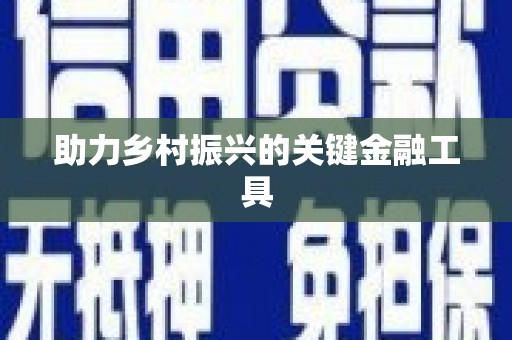 抚远助力乡村振兴的关键金融工具