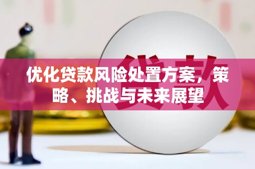 抚远优化贷款风险处置方案，策略、挑战与未来展望