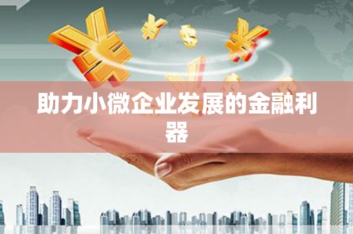 抚远助力小微企业发展的金融利器