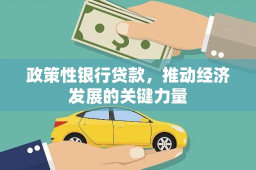 抚远政策性银行贷款，推动经济发展的关键力量
