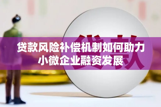 抚远贷款风险补偿机制如何助力小微企业融资发展