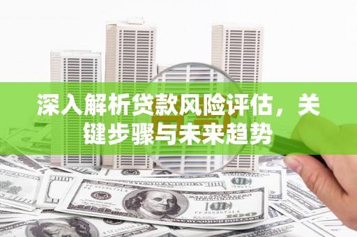 抚远深入解析贷款风险评估，关键步骤与未来趋势
