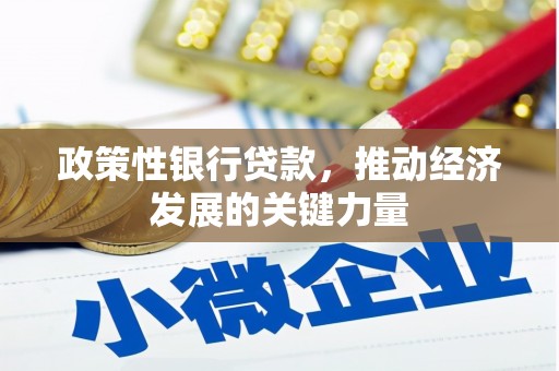 抚远政策性银行贷款，推动经济发展的关键力量