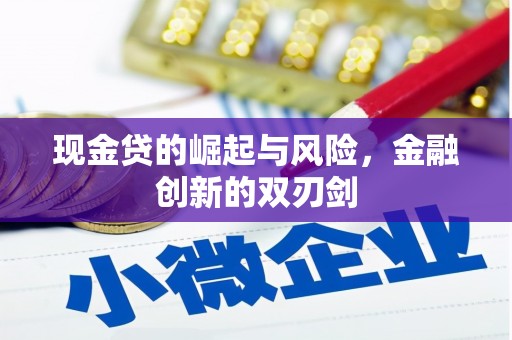 抚远现金贷的崛起与风险，金融创新的双刃剑