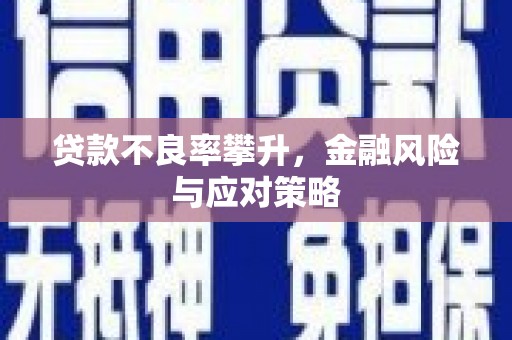 抚远贷款不良率攀升，金融风险与应对策略