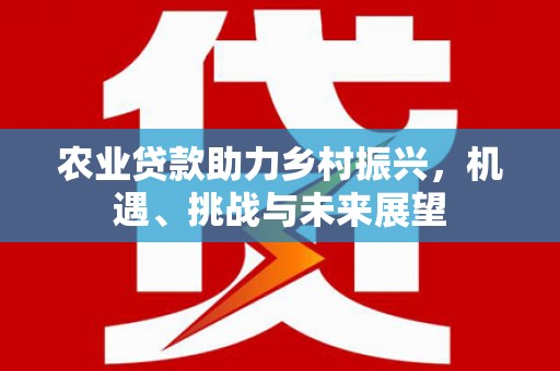 抚远农业贷款助力乡村振兴，机遇、挑战与未来展望