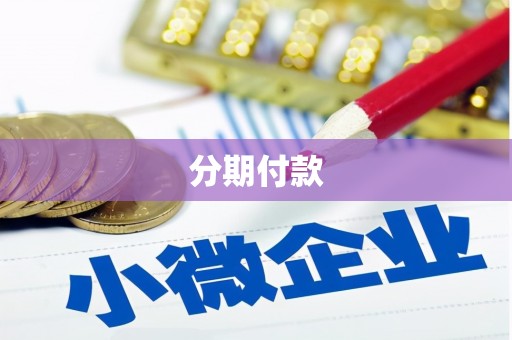 抚远分期付款