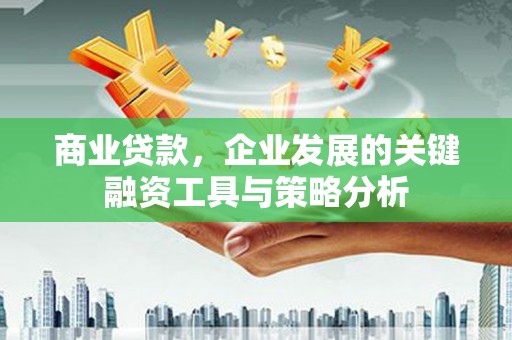 抚远商业贷款，企业发展的关键融资工具与策略分析