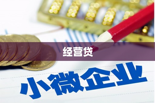 抚远经营贷