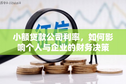 抚远小额贷款公司利率，如何影响个人与企业的财务决策