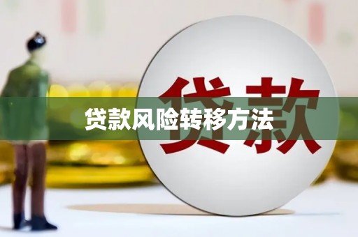 抚远贷款风险转移方法