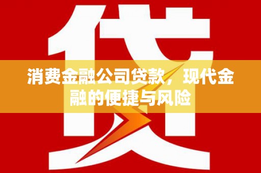抚远消费金融公司贷款，现代金融的便捷与风险