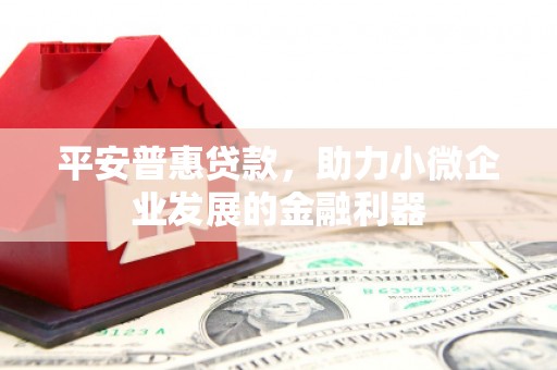 抚远平安普惠贷款，助力小微企业发展的金融利器