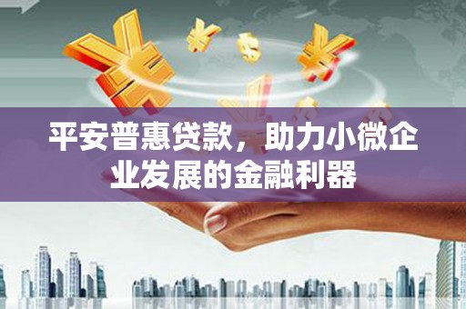 抚远平安普惠贷款，助力小微企业发展的金融利器