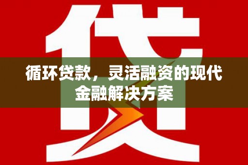 抚远循环贷款，灵活融资的现代金融解决方案