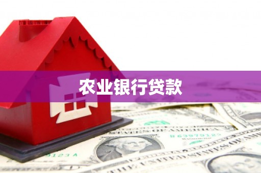 抚远农业银行贷款