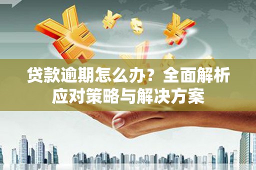 抚远贷款逾期怎么办？全面解析应对策略与解决方案