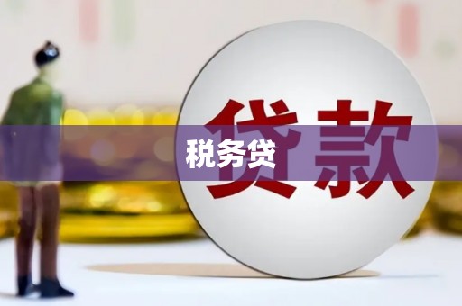 抚远税务贷