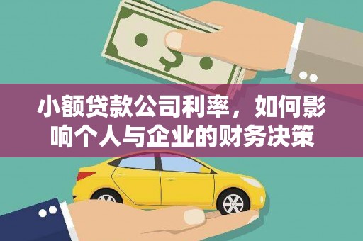 抚远小额贷款公司利率，如何影响个人与企业的财务决策
