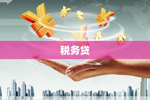 抚远税务贷