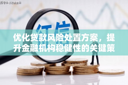 抚远优化贷款风险处置方案，提升金融机构稳健性的关键策略