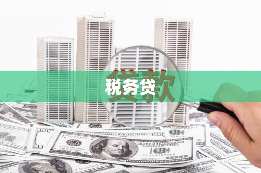 抚远税务贷