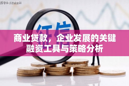 抚远商业贷款，企业发展的关键融资工具与策略分析