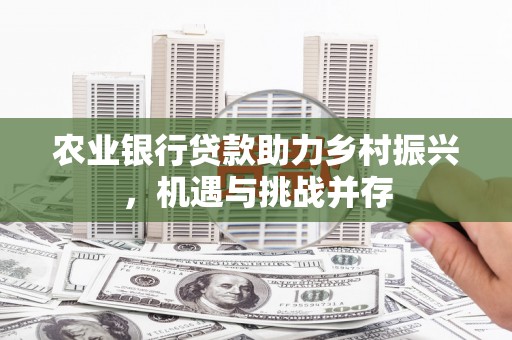 抚远农业银行贷款助力乡村振兴，机遇与挑战并存
