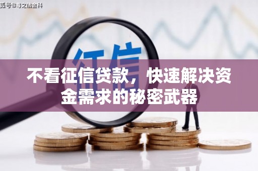 抚远不看征信贷款，快速解决资金需求的秘密武器